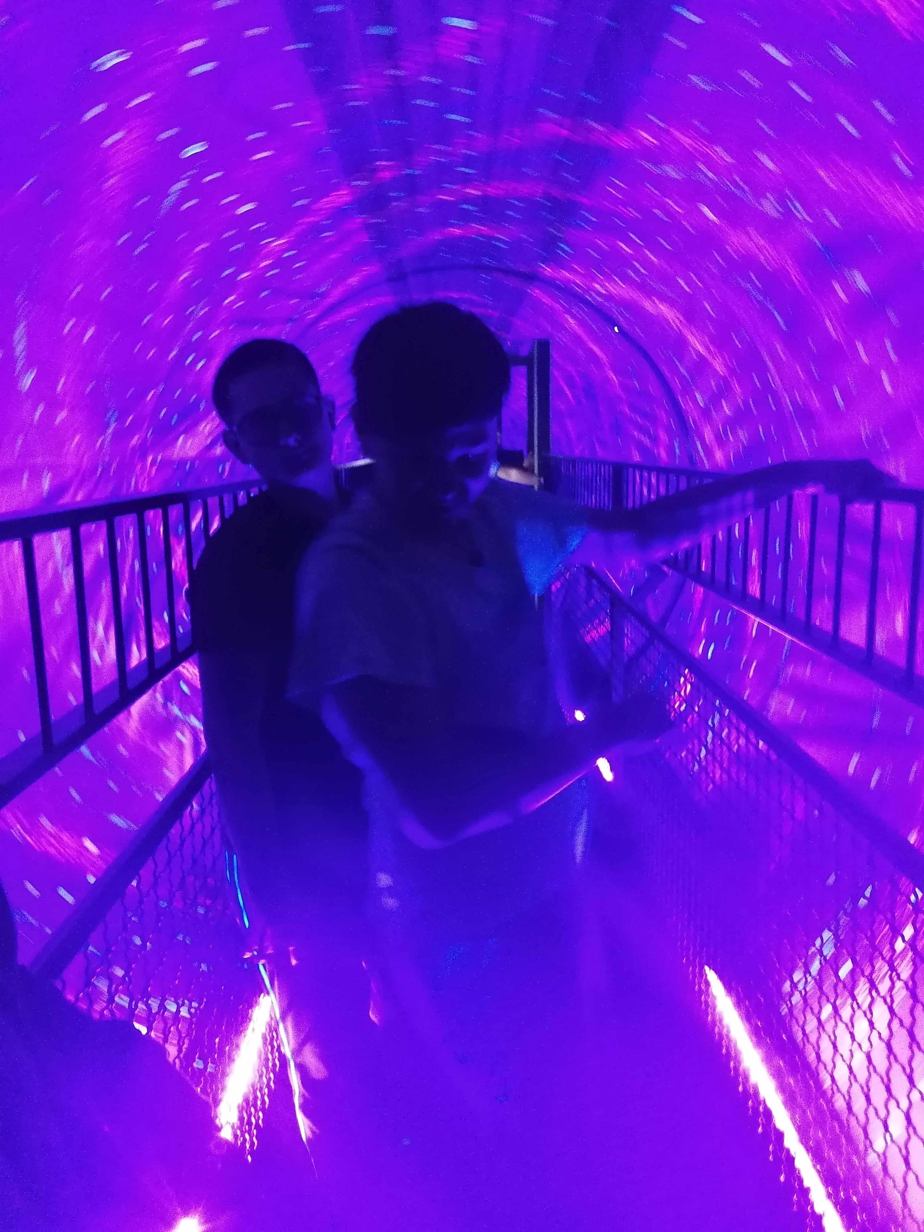 IMG_20191030_094521.jpg IMG_20191030_094521.jpg