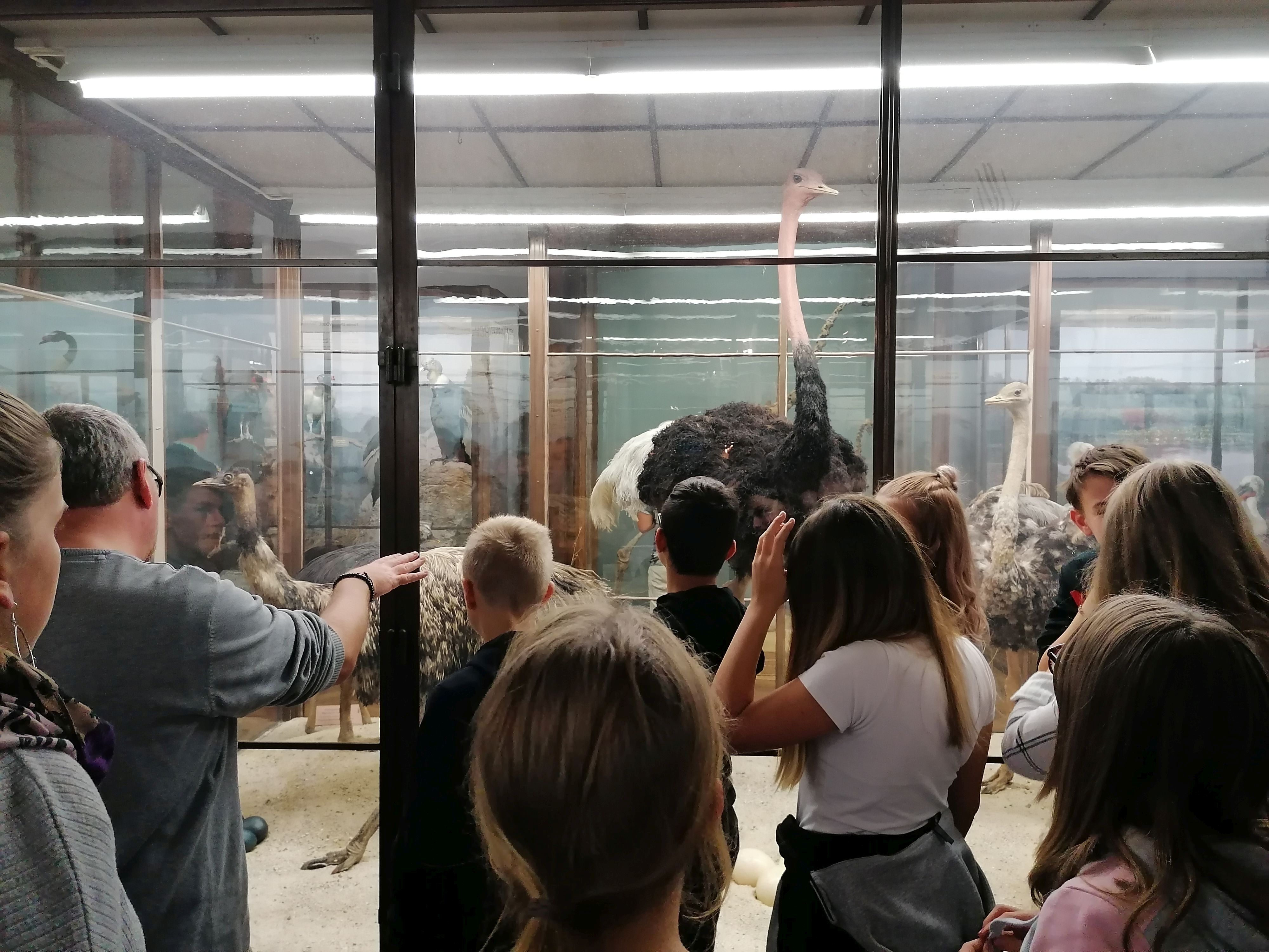 IMG_20191030_193428.jpg IMG_20191030_193428.jpg