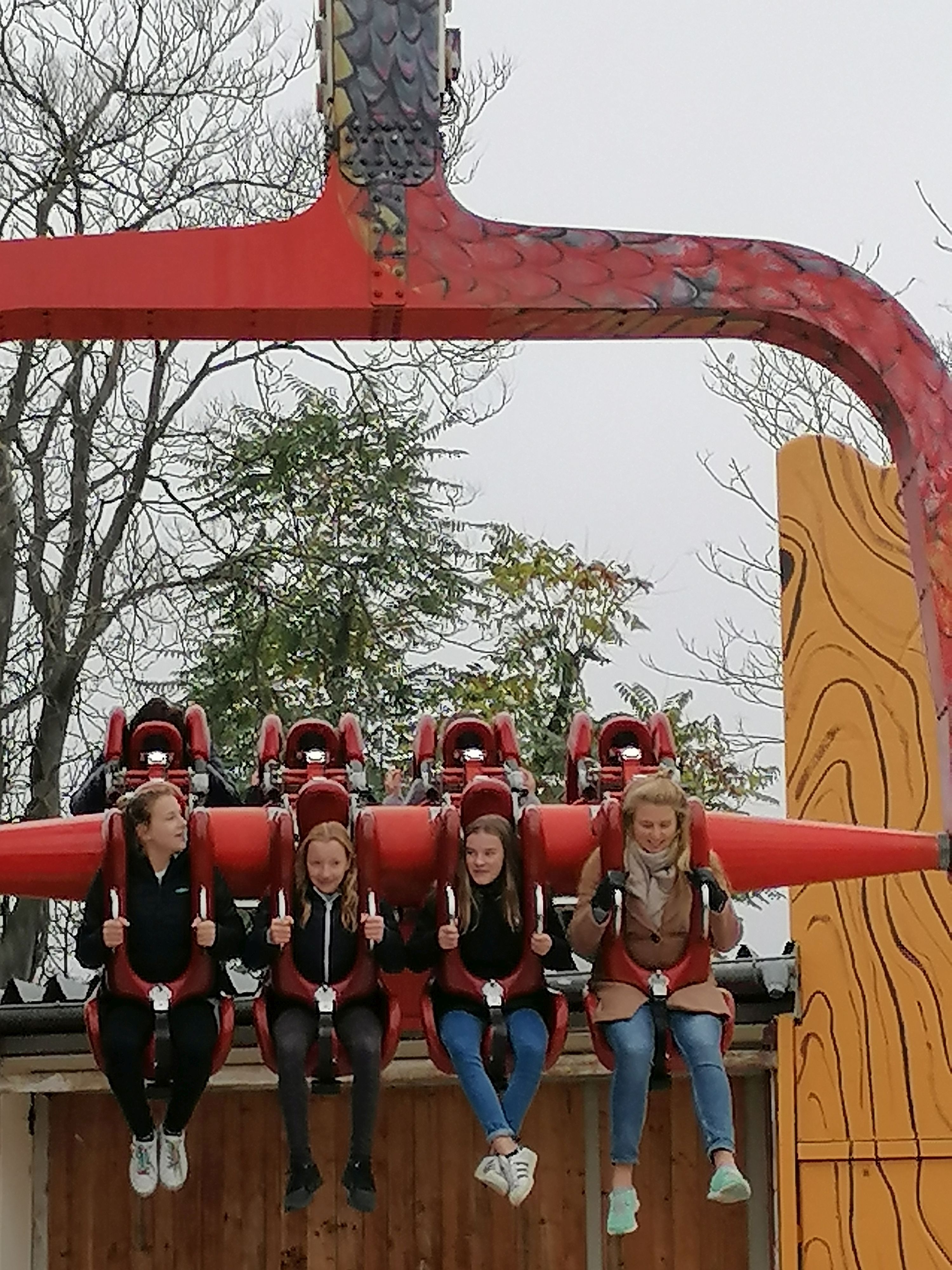 IMG_20191031_122309.jpg IMG_20191031_122309.jpg