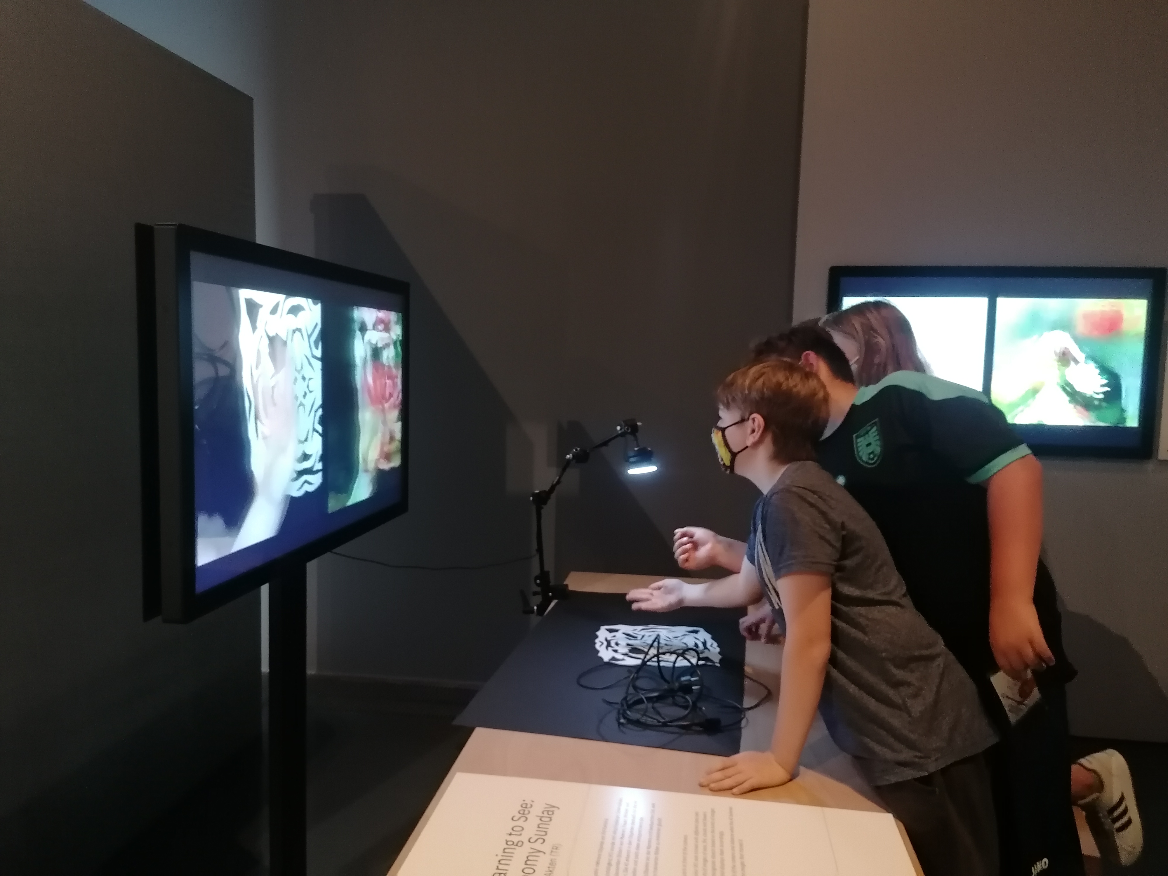 IMG_20210617_122543.jpg IMG_20210617_122543.jpg