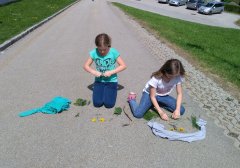 IMG_20180424_142221.jpg