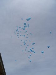 Bild002.jpg