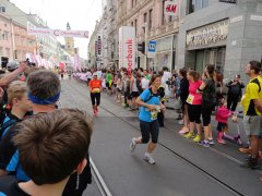 DSC01248.jpg
