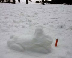 Schneehase_Grander.jpg