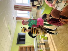 IMG_3258.jpeg