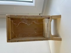 Box2.jpg